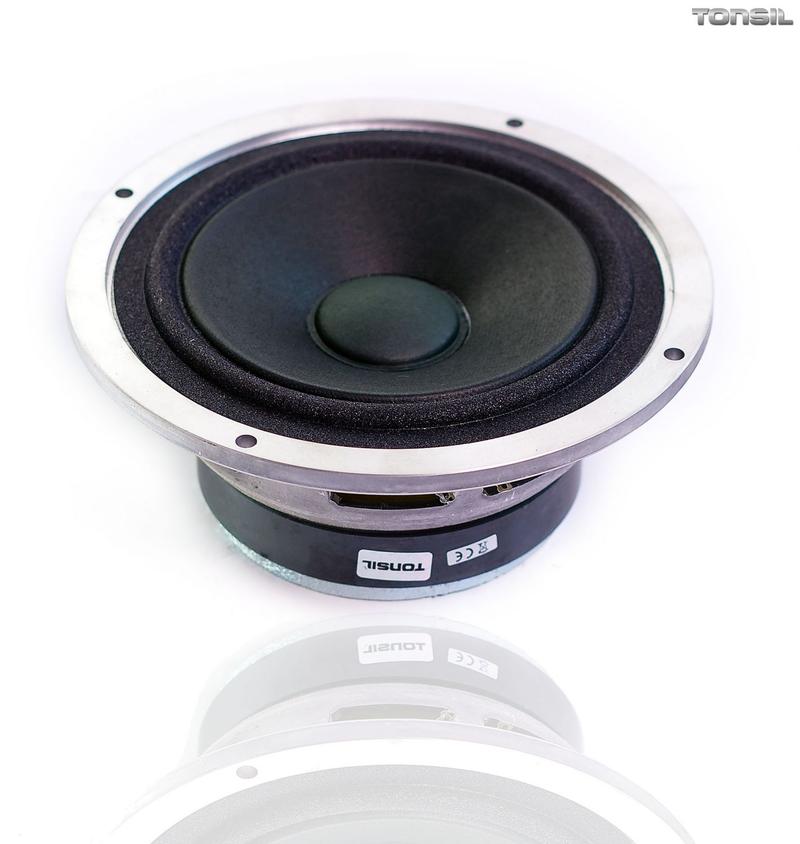 Cechy techniczne głośników estradowych