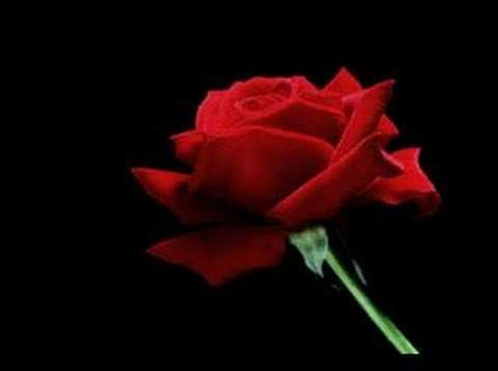 Odkryj tajemniczego wykonawcę piosenki "Zabiorę cię właśnie tam" i jego fascynującą historię