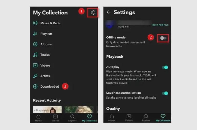 Słuchanie offline w Tidal