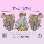 Gdzie znaleźć Tidal Wave w Polsce? Oto najlepsze opcje streamingowe