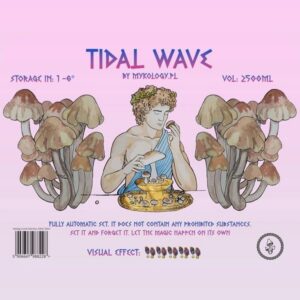 Gdzie znaleźć Tidal Wave w Polsce? Oto najlepsze opcje streamingowe