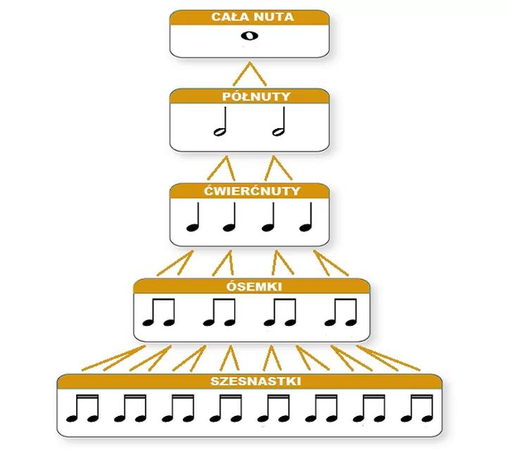 Na ile liczymy nuty w muzyce? Poznaj wartość całej nuty i jej znaczenie