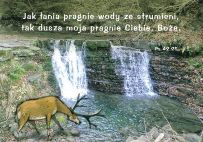 Inspiracje z natury