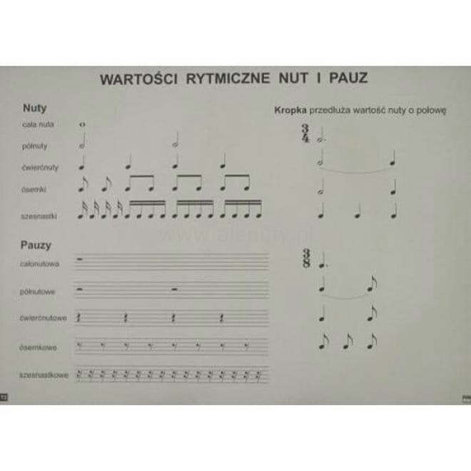 Zrozumienie nut: jak się nazywają ich wartości rytmiczne?