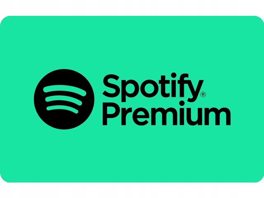 VPN Spotify koszty