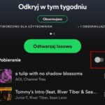 Jak słuchać Spotify offline bez przerw: proste kroki, które działają